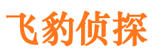 怀集市侦探调查公司